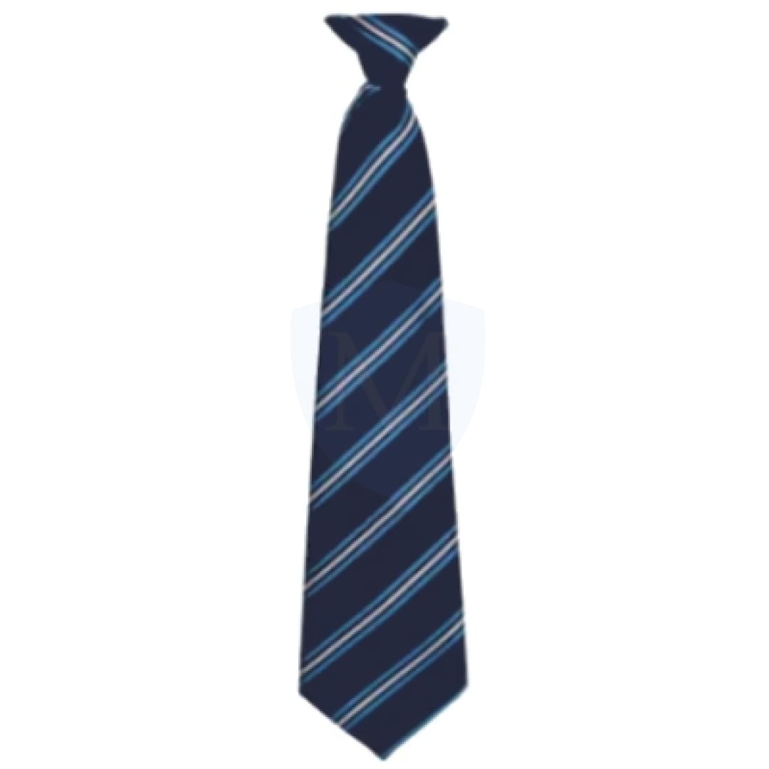 Hall Green Secondary School Tie - Blue (52’’ Long Tie) *new 2026* (poa)