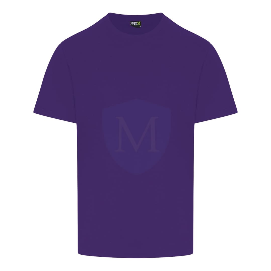 Pro Workwear T-shirt (rx151)
